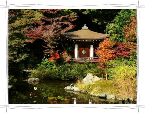 京都　毘沙門堂　紅葉