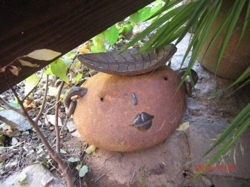 CIMG6451 (640x480).jpg