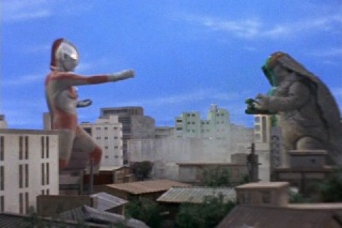 PDVD_027.jpg