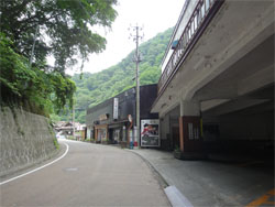 東鳳48.jpg