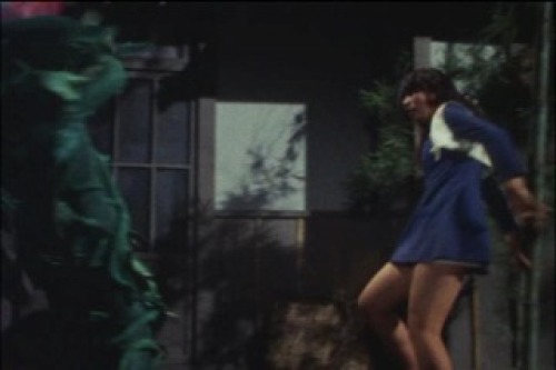 PDVD_072.jpg
