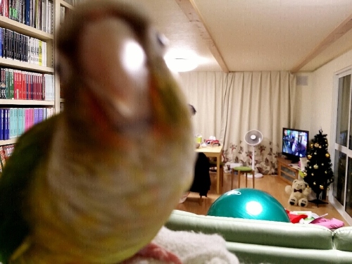 C:\fakepath\CN_2013_1214_2311_06 (800x600).jpg