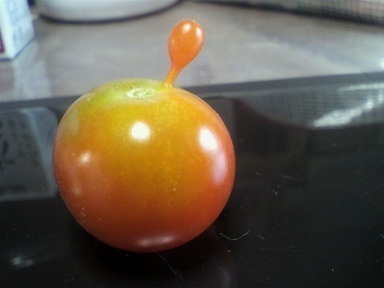 ミニトマト(V.2012_07_19__10_37_24).jpg