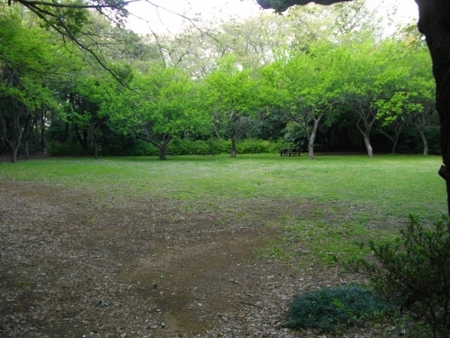 小机城二の丸 (500x375).jpg