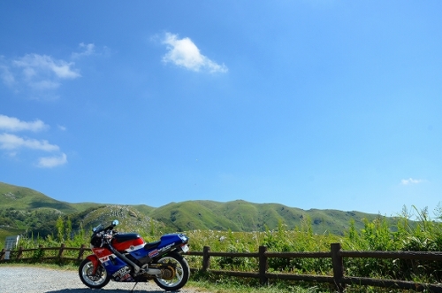 平尾台の風景 007.jpg