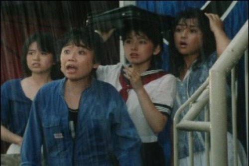 PDVD_014.jpg