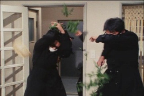 PDVD_074.jpg