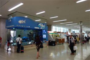 沖縄185.jpg