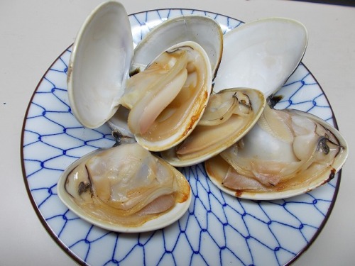 s-DSCN2981.jpg
