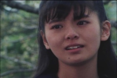 PDVD_011.jpg