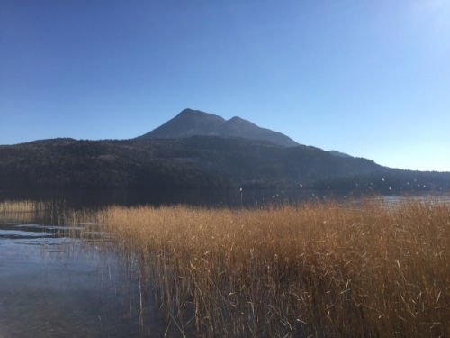 IMG_8266 (640x480).jpg