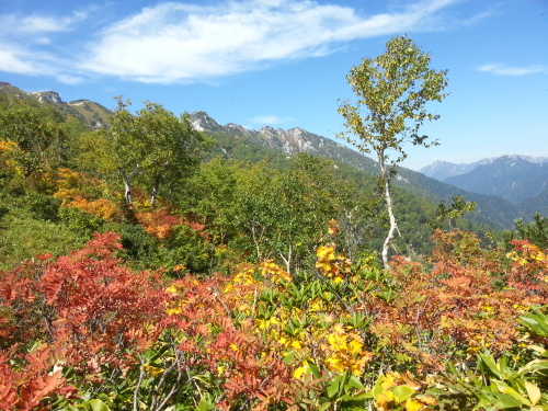 燕岳から紅葉2.jpg