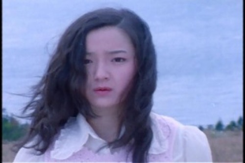 PDVD_013.jpg