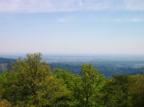 陣馬山山頂都心 (500x373).jpg