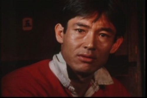 PDVD_050.jpg