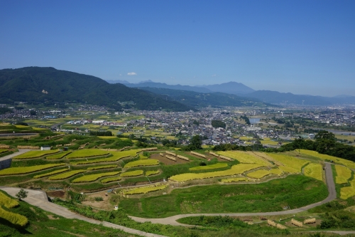 姨捨棚田20139月18日千曲市背景。斑尾山も (1400x933).jpg
