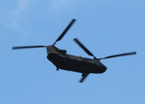 IMG_5769 (400x289).jpg