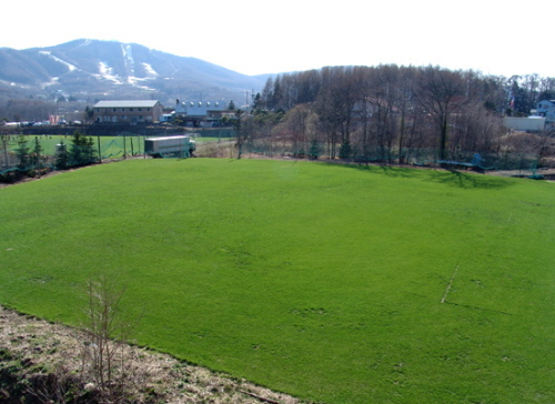 l3.jpg