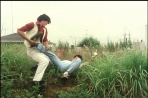 PDVD_043.jpg