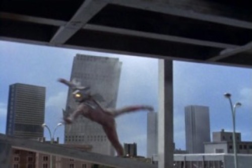 PDVD_018.jpg