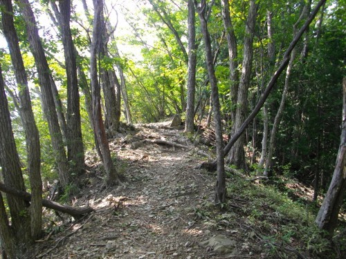 生藤山連行峰 (1) (500x375).jpg