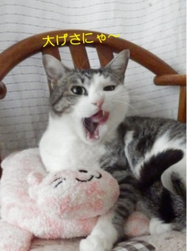 20140331_3.jpg
