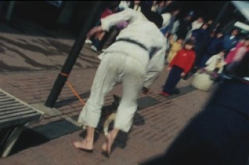 PDVD_016.jpg