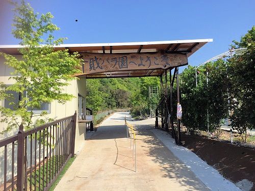 2016-04-30 15.39.35.jpg