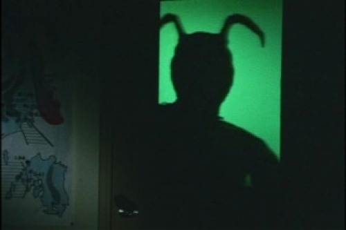 PDVD_003.jpg