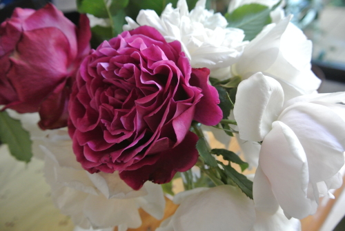 DSC_4031.JPG
