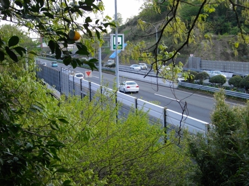 小机城富士仙元第三京浜 (500x375).jpg