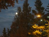 IMG_0382_R.JPG