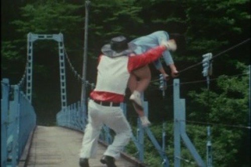 PDVD_016.jpg