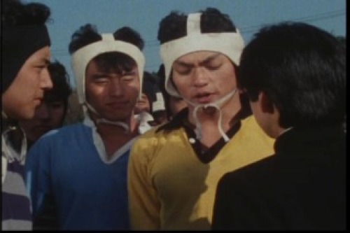 PDVD_009.jpg