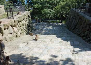 九州797.jpg