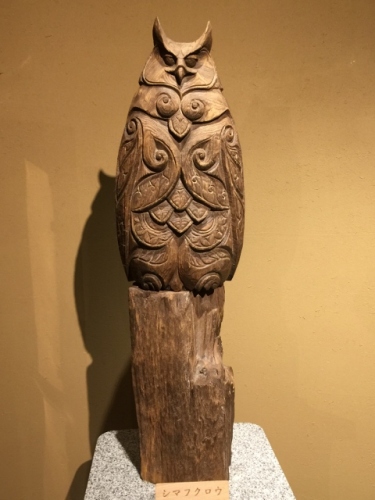 IMG_8035 (480x640).jpg