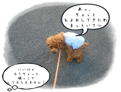 DSCF4017.JPG