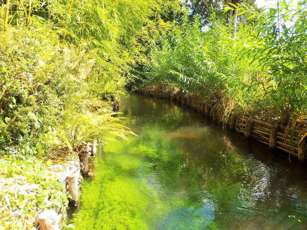 クロード・モネ、「Vetheuil in Summertime」、厳選