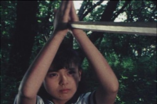 PDVD_028.jpg