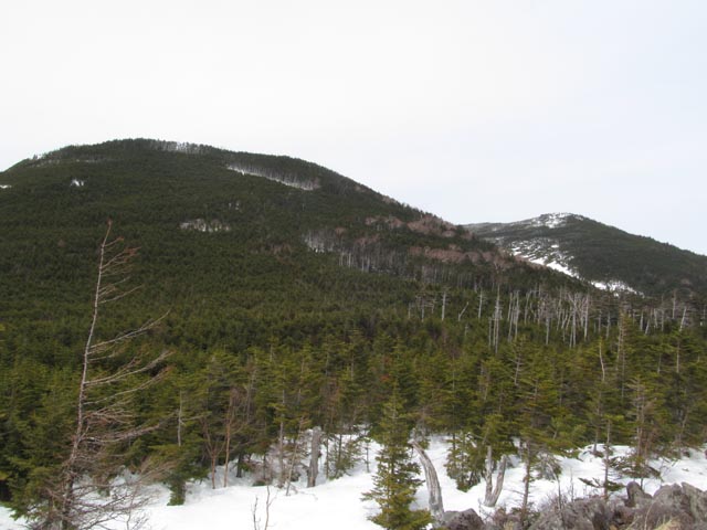 Shirakoma06.JPG