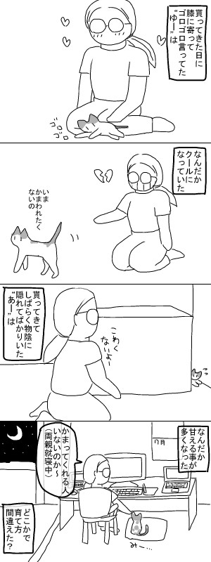 お猫様の性格