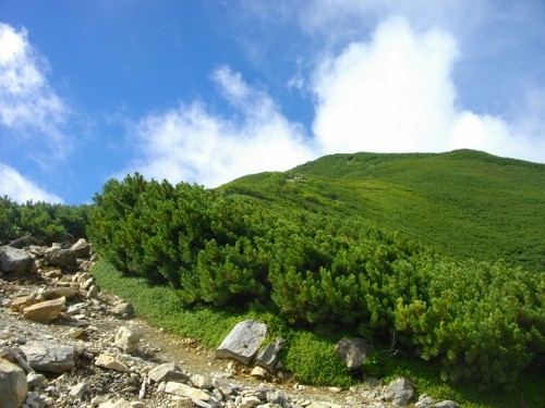 仙丈ケ岳小仙丈 (6) (500x375).jpg