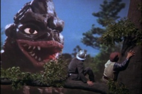 PDVD_024.jpg