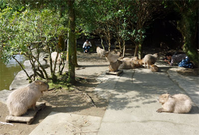 九州506.jpg