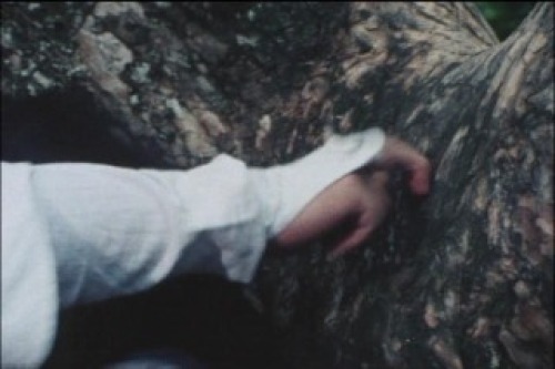PDVD_026.jpg