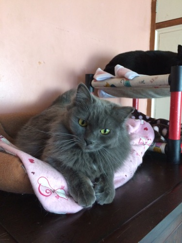 IMG_8403 - コピー.JPG