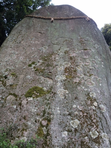 IMG_0070 (480x640).jpg