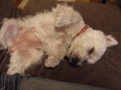 20100626.jpg