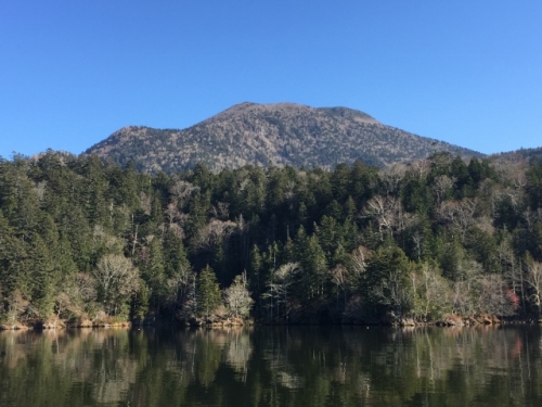 IMG_8090 (640x480).jpg