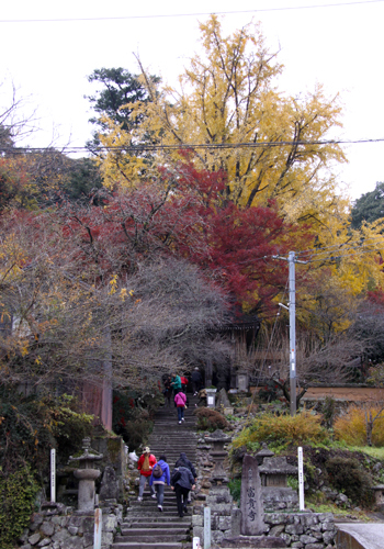 富貴寺　紅葉02.jpg